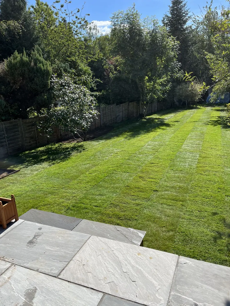 A long garden lawn bordered by mature greenery beside pale paving